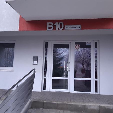 Apartament Cusai Brașov Exterior foto
